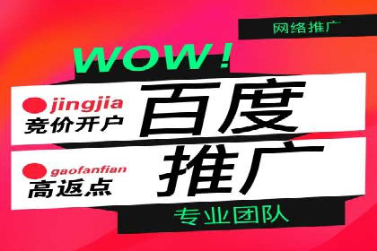 某行业竞价推广的挑战与机遇——多案例研究