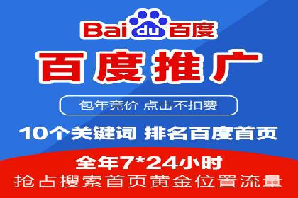 案例研究：百度竞价广告投放效果